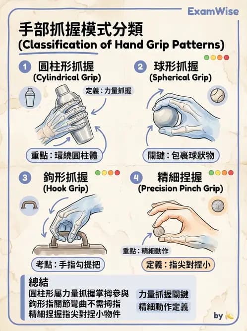 物治 - 手部生物力學 - AI 圖文解析預覽