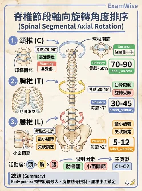 物治 - 軀幹肌動學與生物力學 - AI 圖文解析預覽