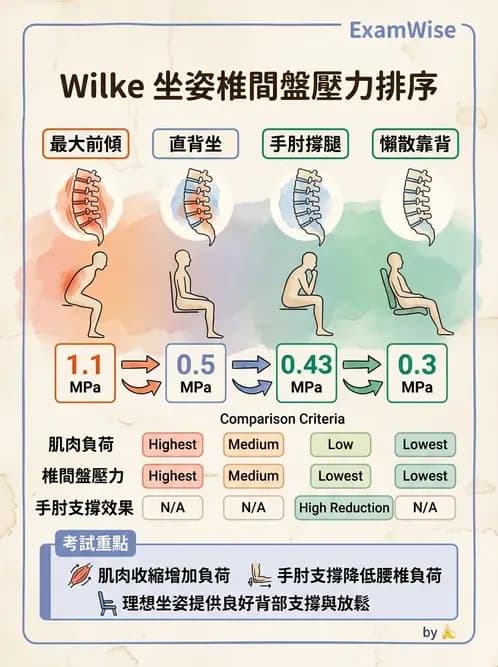物治 - 軀幹肌動學與生物力學 - AI 圖文解析預覽