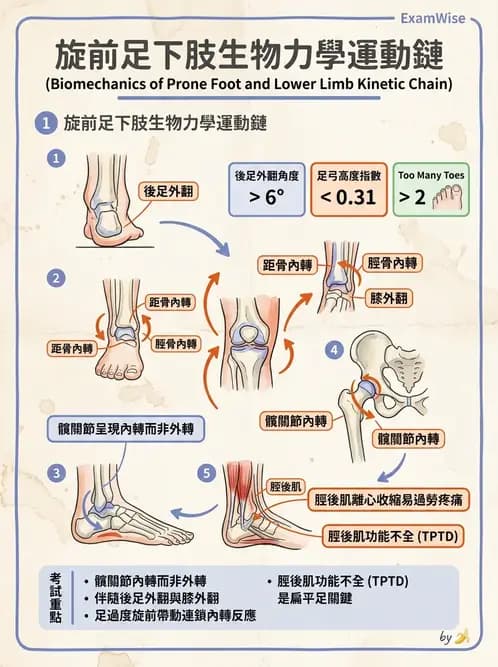 物治 - 異常步態與姿勢分析 - AI 圖文解析預覽