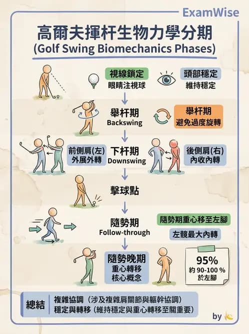 物治 - 競技運動與肌力訓練動作分析 - AI 圖文解析預覽