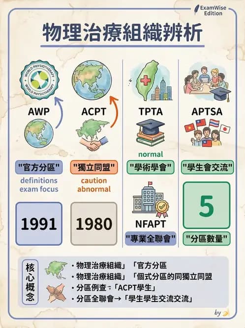 物治 - 專業組織與服務模式 - AI 圖文解析預覽