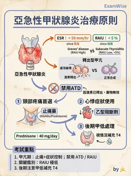物治 - 內科疾病概論 - AI 圖文解析預覽