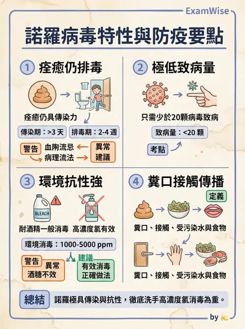 物治 - 內科疾病概論 - AI 圖文解析預覽