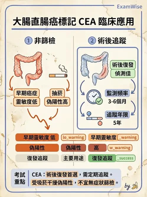 物治 - 腫瘤與其他臨床醫學 - AI 圖文解析預覽