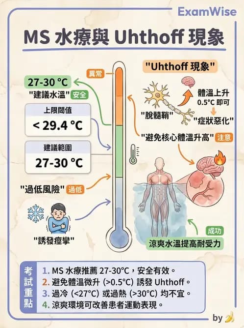 物治 - 水療 - AI 圖文解析預覽