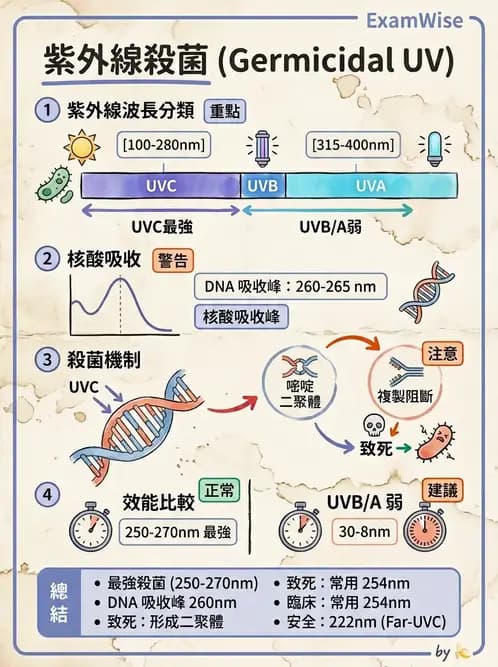 物治 - 紫外光 - AI 圖文解析預覽