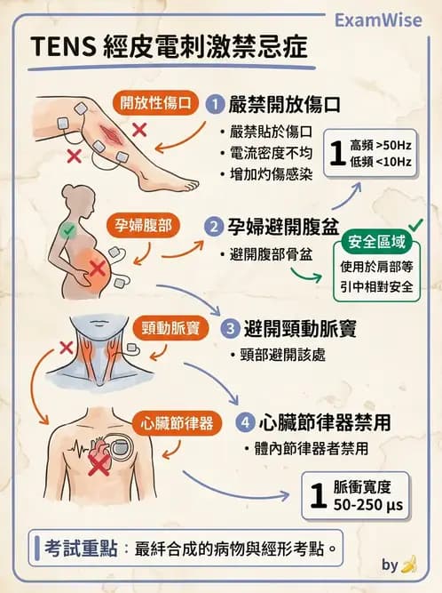 物治 - 經皮電刺激與電療基礎 - AI 圖文解析預覽