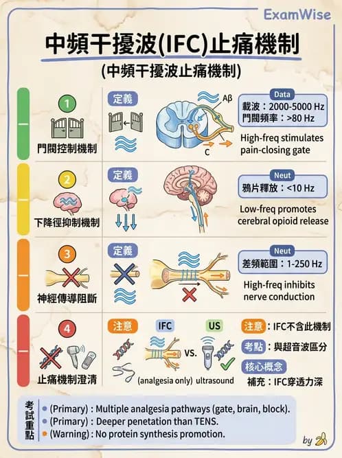 物治 - 中頻干擾波 - AI 圖文解析預覽