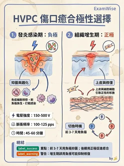 物治 - 高壓間歇直流電 - AI 圖文解析預覽