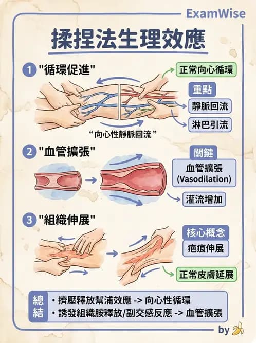 物治 - 瑞典式按摩與運動按摩 - AI 圖文解析預覽