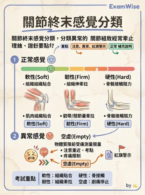 物治 - ROM通則與關節運動 - AI 圖文解析預覽