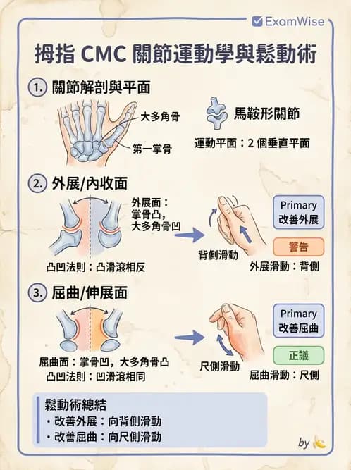 物治 - 鬆動術臨床應用 - AI 圖文解析預覽