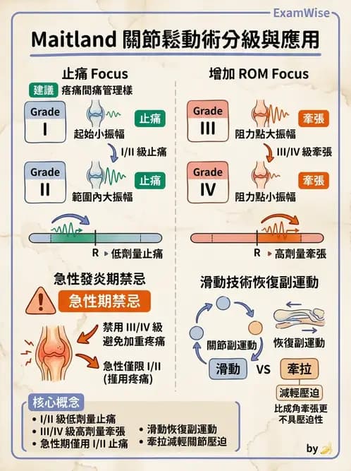 物治 - 鬆動術基礎概念與原則 - AI 圖文解析預覽