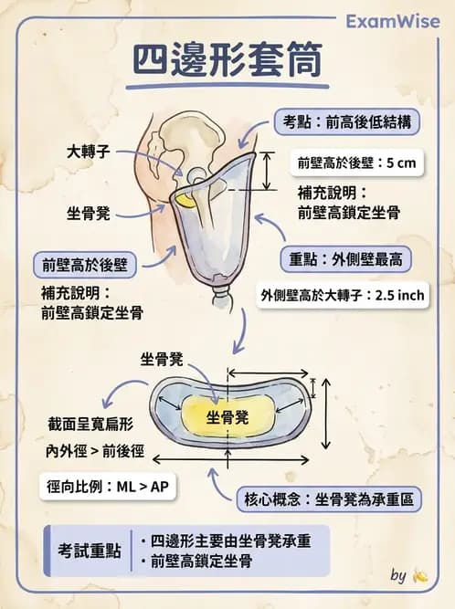 物治 - 義肢 - AI 圖文解析預覽