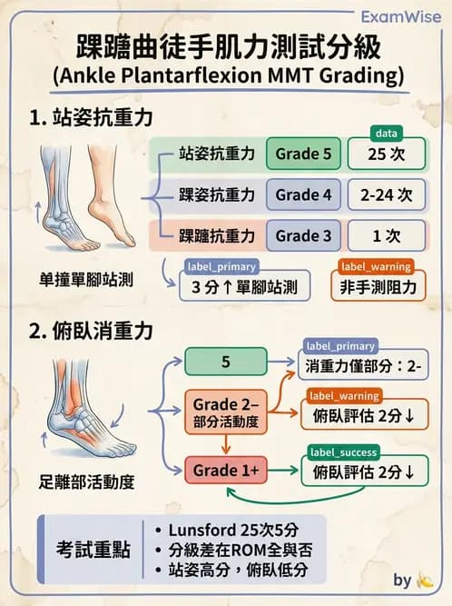 物治 - 下肢徒手肌力測試 - AI 圖文解析預覽