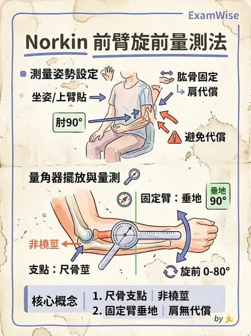 物治 - 上肢關節活動度 - AI 圖文解析預覽