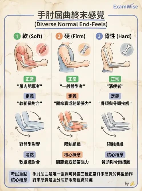 物治 - ROM通則與關節運動 - AI 圖文解析預覽
