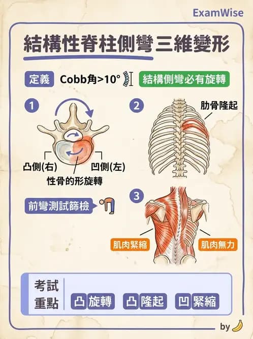 物治 - 裝具與矯具 - AI 圖文解析預覽