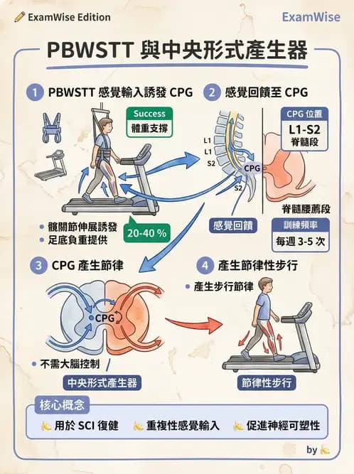 物治 - 訓練原則與科技輔助 - AI 圖文解析預覽