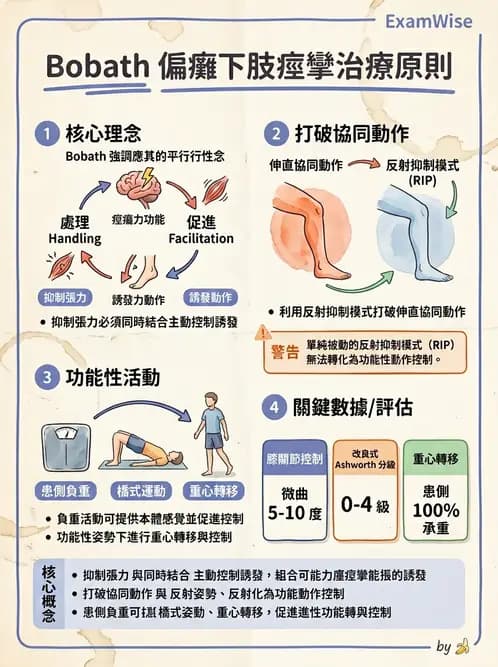 物治 - 腦中風治療手法應用 - AI 圖文解析預覽