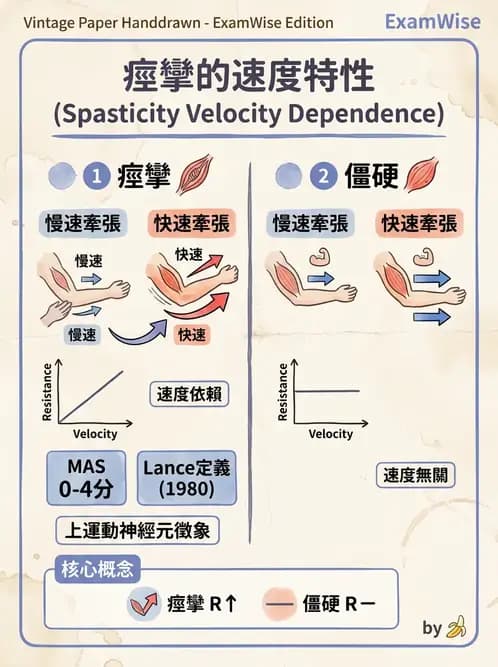物治 - 腦中風動作評估與分期 - AI 圖文解析預覽