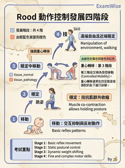 物治 - 神經治療學派技術 - AI 圖文解析預覽