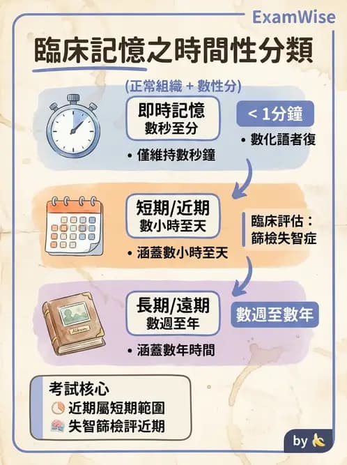 物治 - 神經物理治療評估工具 - AI 圖文解析預覽
