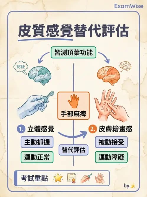 物治 - 神經物理治療評估工具 - AI 圖文解析預覽