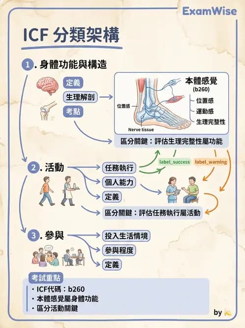 物治 - ICF分類與應用 - AI 圖文解析預覽