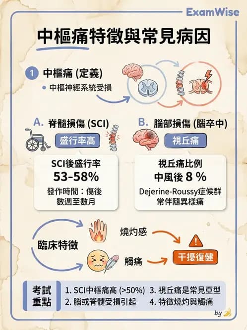 物治 - 腦中風感覺知覺與認知 - AI 圖文解析預覽