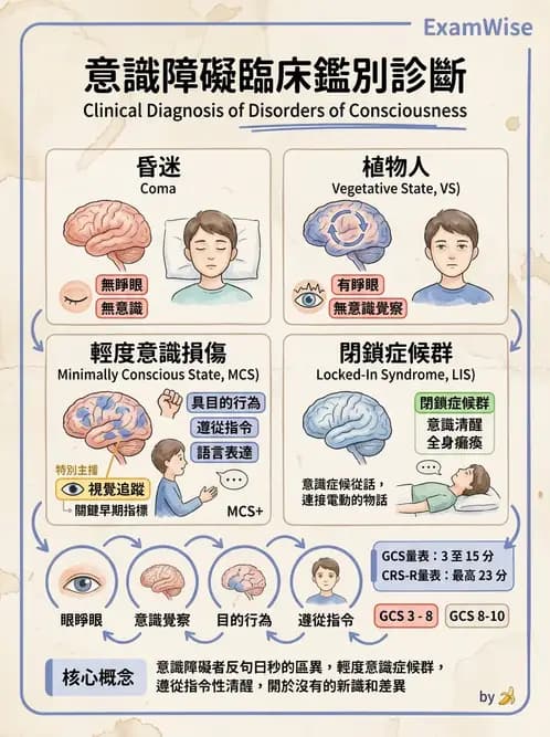 物治 - TBI LOCF分級與復健 - AI 圖文解析預覽
