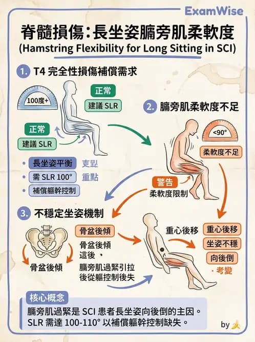 物治 - SCI功能預後與復健訓練 - AI 圖文解析預覽