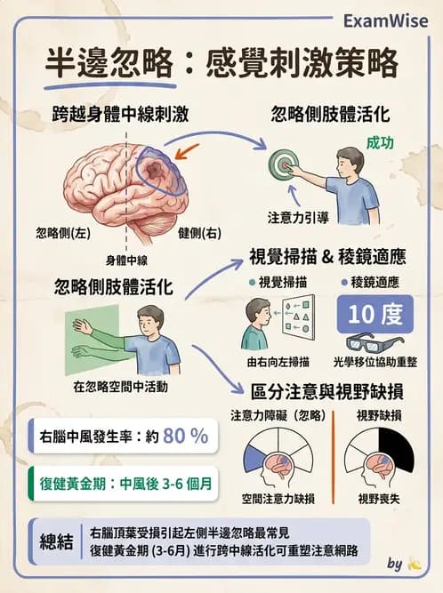 物治 - 腦中風感覺知覺與認知 - AI 圖文解析預覽