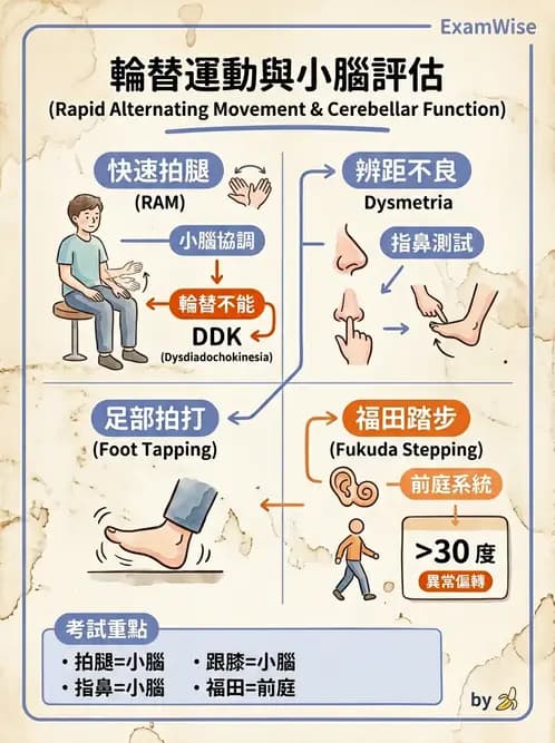 物治 - 神經物理治療評估工具 - AI 圖文解析預覽