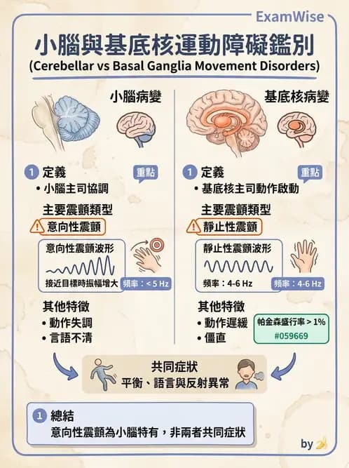 物治 - 小腦疾病物理治療 - AI 圖文解析預覽