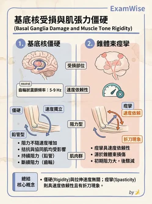物治 - 巴金森氏病物理治療 - AI 圖文解析預覽