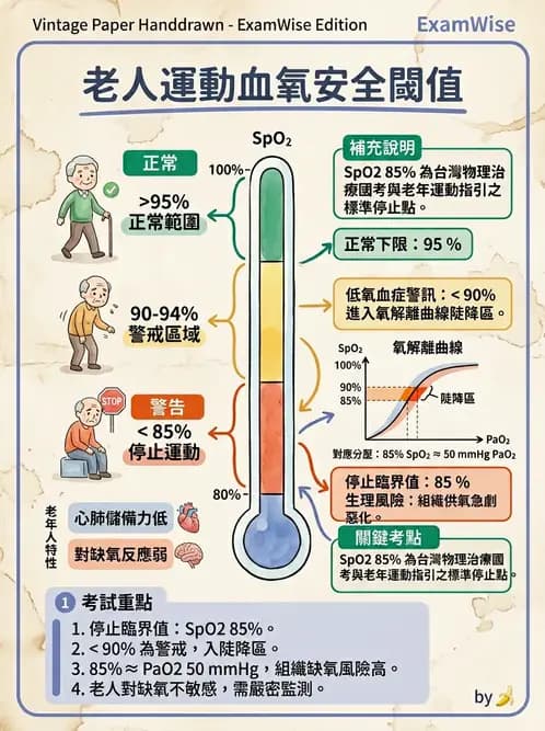 物治 - 衰弱肌少症與長期照護 - AI 圖文解析預覽