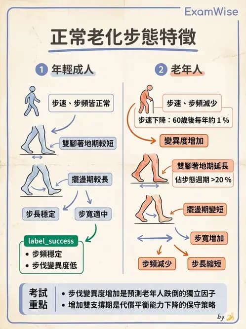 物治 - 跌倒預防與平衡訓練 - AI 圖文解析預覽