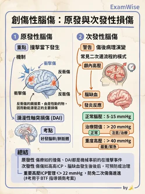 物治 - TBI病理評估與GCS - AI 圖文解析預覽