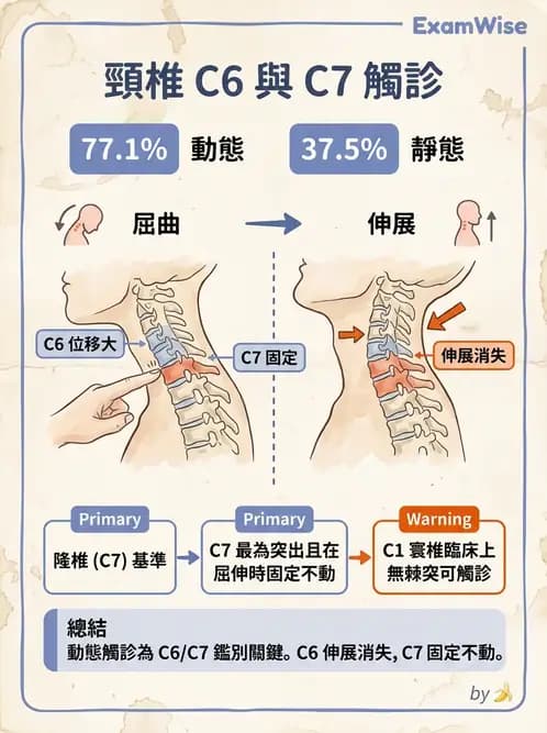物治 - 頸椎評估與病理 - AI 圖文解析預覽