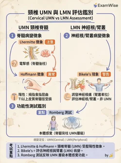 物治 - 頸椎評估與病理 - AI 圖文解析預覽