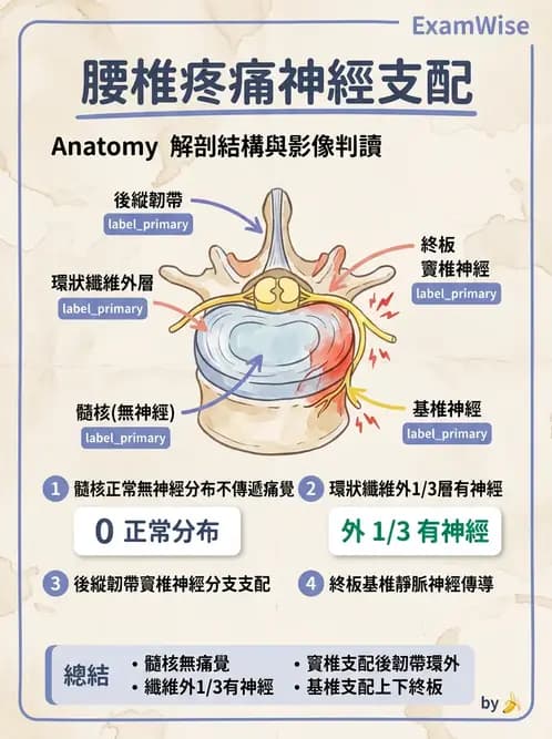物治 - 腰椎椎間盤與脊椎狹窄 - AI 圖文解析預覽