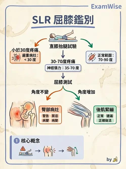 物治 - 腰椎椎間盤與脊椎狹窄 - AI 圖文解析預覽