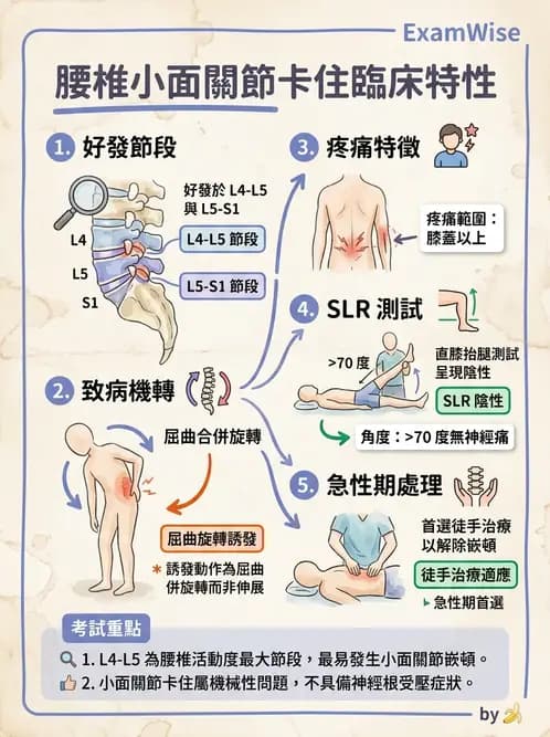 物治 - 腰椎椎間盤與脊椎狹窄 - AI 圖文解析預覽