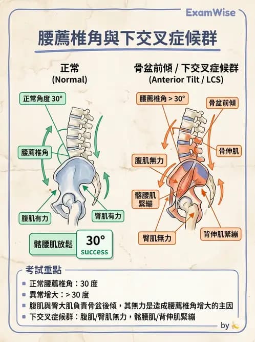 物治 - 姿勢 - AI 圖文解析預覽