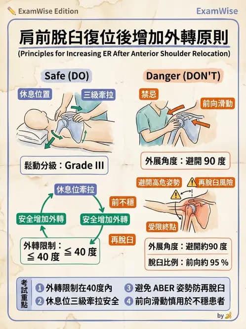 物治 - 肩關節不穩定與盂唇損傷 - AI 圖文解析預覽