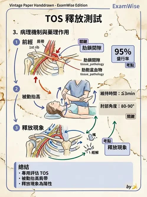 物治 - 冰凍肩與胸廓出口症候群 - AI 圖文解析預覽