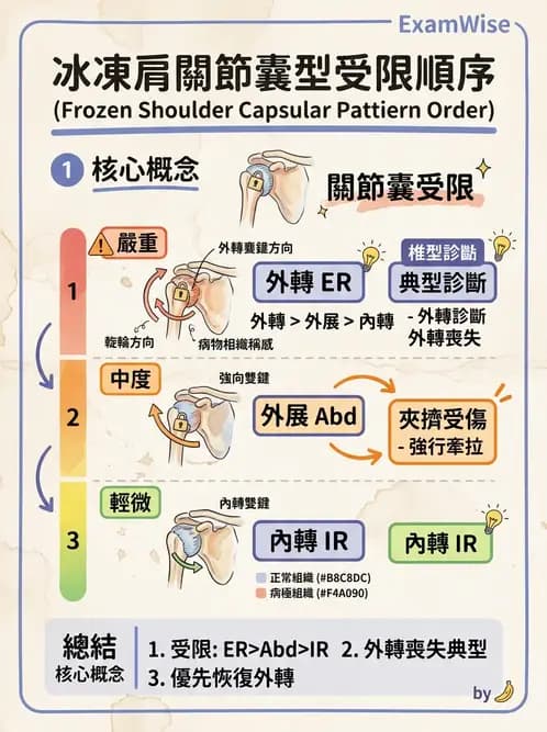 物治 - 冰凍肩與胸廓出口症候群 - AI 圖文解析預覽