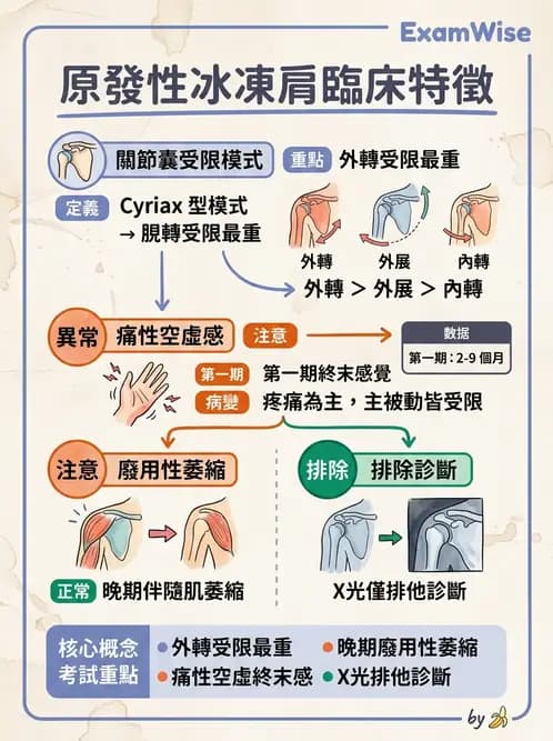 物治 - 冰凍肩與胸廓出口症候群 - AI 圖文解析預覽